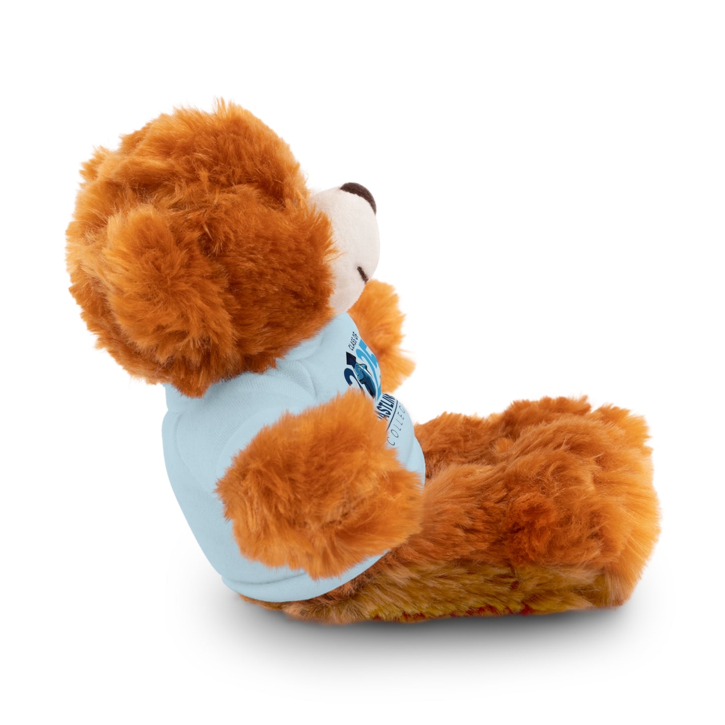 Coastline Class of 2025 Stuffed Bear with Tee