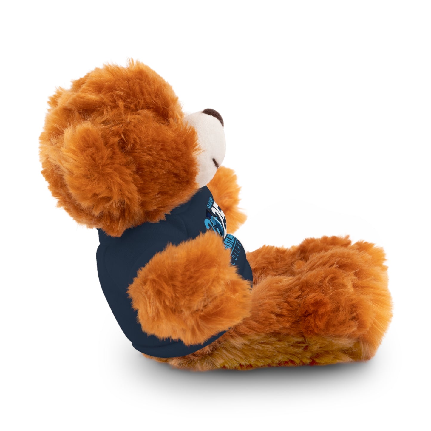 Coastline Class of 2025 Stuffed Bear with Tee