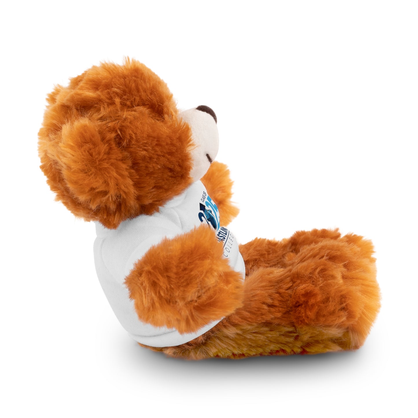 Coastline Class of 2025 Stuffed Bear with Tee